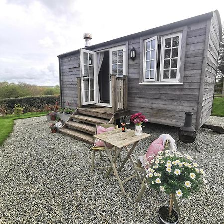 Villa Elvan Farm Shepherd'S Hut à Exeter Extérieur photo
