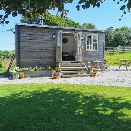 Villa Elvan Farm Shepherd'S Hut à Exeter Extérieur photo