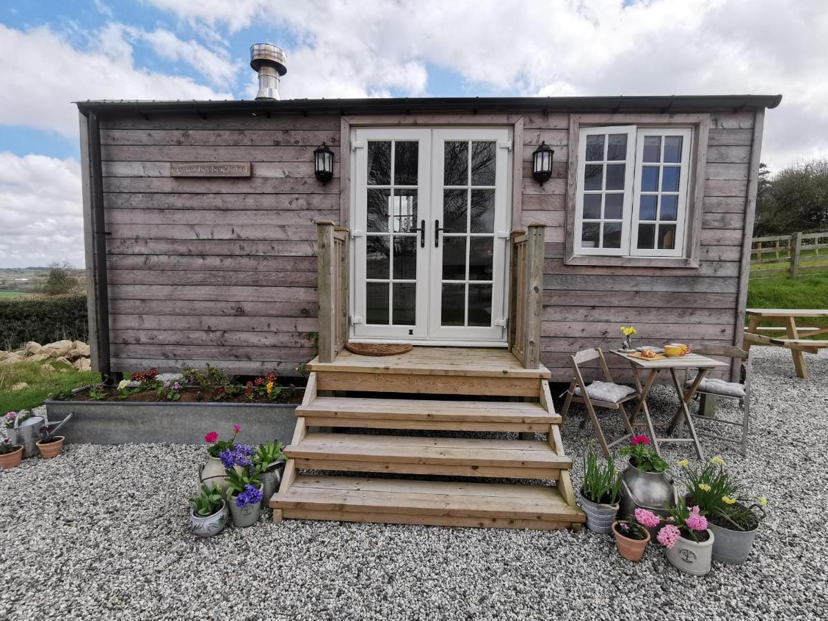 Villa Elvan Farm Shepherd'S Hut à Exeter Extérieur photo