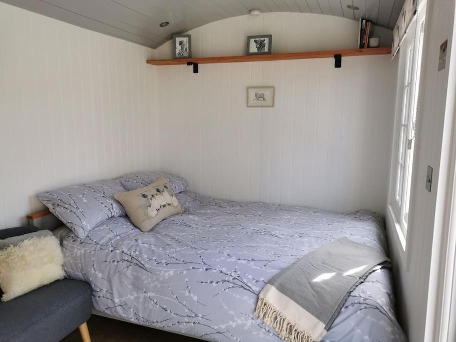 Villa Elvan Farm Shepherd'S Hut à Exeter Extérieur photo