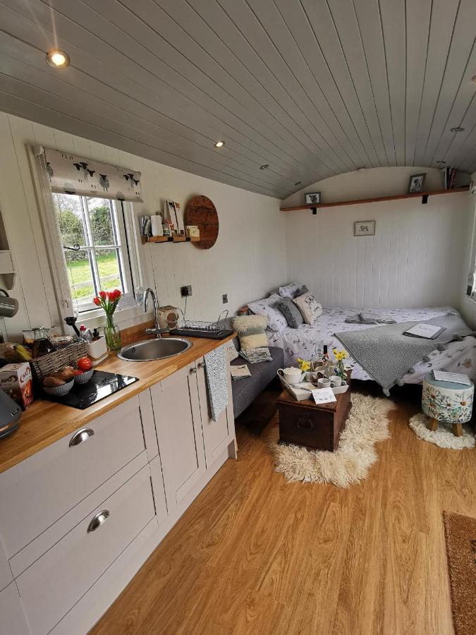 Villa Elvan Farm Shepherd'S Hut à Exeter Extérieur photo