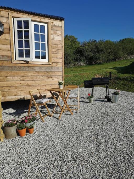 Villa Elvan Farm Shepherd'S Hut à Exeter Extérieur photo