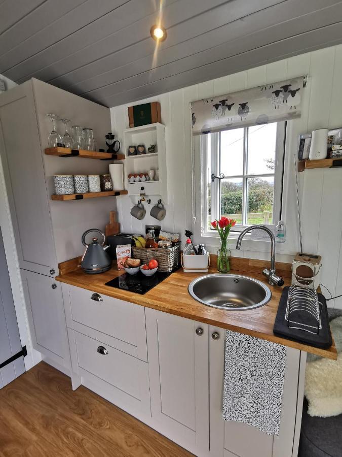 Villa Elvan Farm Shepherd'S Hut à Exeter Extérieur photo