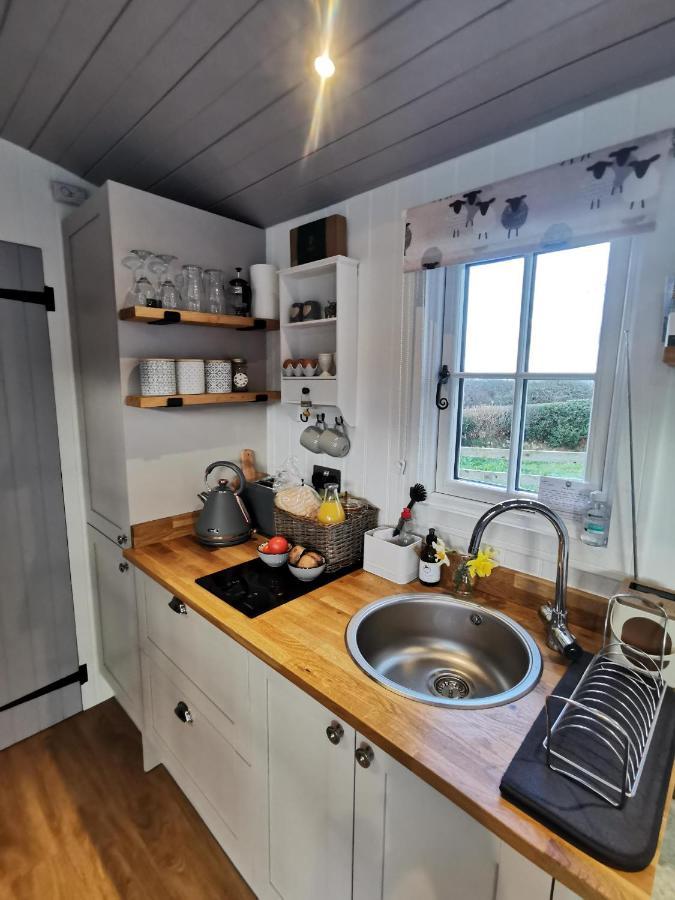Villa Elvan Farm Shepherd'S Hut à Exeter Extérieur photo