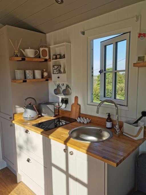 Villa Elvan Farm Shepherd'S Hut à Exeter Extérieur photo