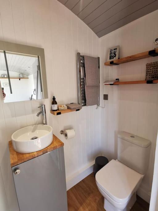 Villa Elvan Farm Shepherd'S Hut à Exeter Extérieur photo