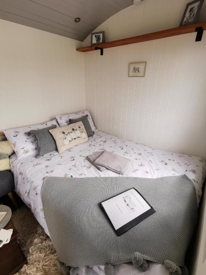 Villa Elvan Farm Shepherd'S Hut à Exeter Extérieur photo